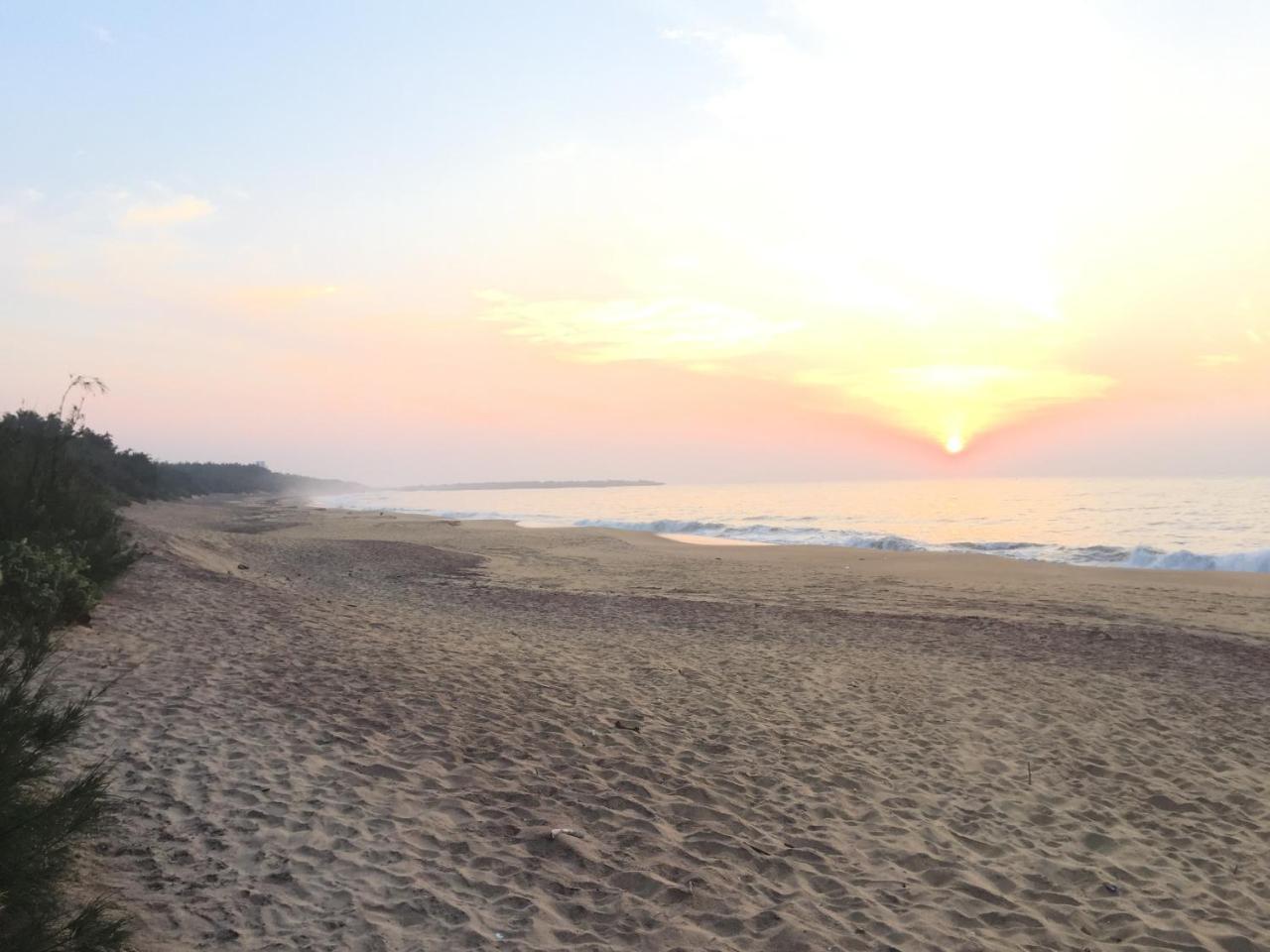 The Oasis Beach Resort هامبانتوتا المظهر الخارجي الصورة